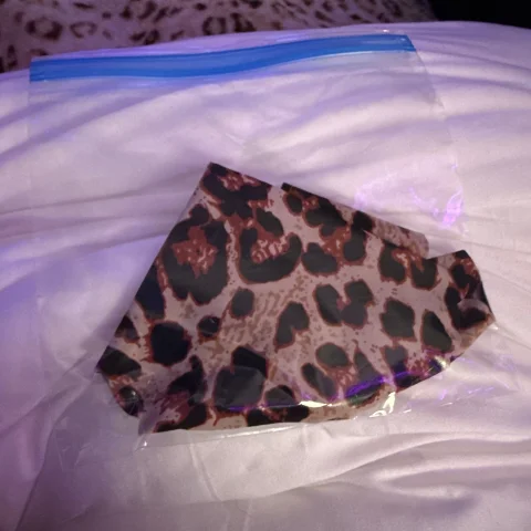 Panties