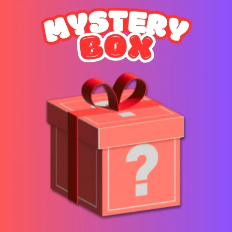 Medium Mystery Box