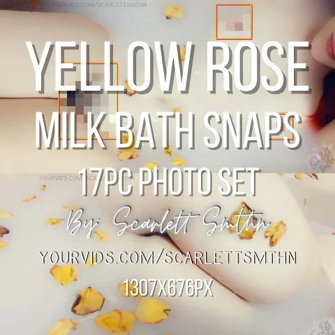 Yellow Rose Milk Bath Snaps 17pc Photo set