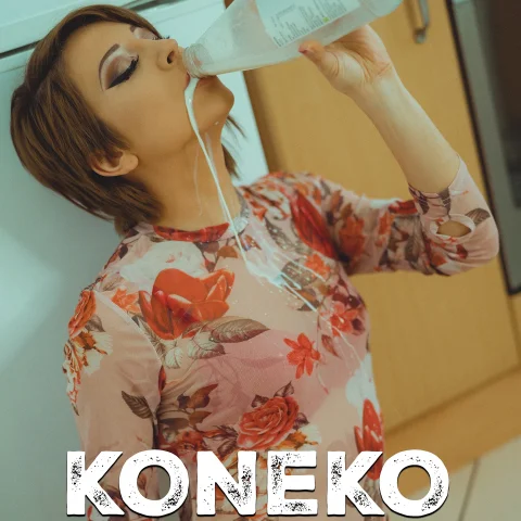 Koneko Milk Picture Set
