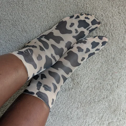 Cow Feet Fetish Photo Set