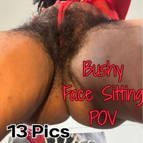 Bushy Pussy Face Sitting POV 13 Pics