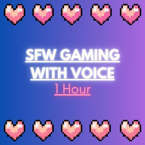 1 Hr. Gaming Session