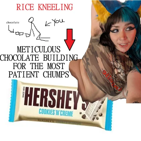 METICULOUS CHOCOLATE BUILDING FOR THE MOST PATIENT DOGGIES