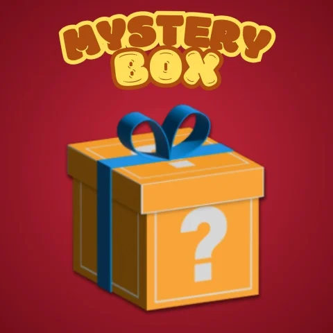 Small Mystery Box