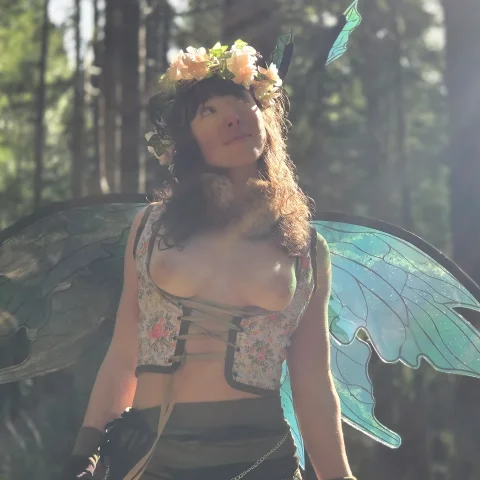 Fairy Photoset