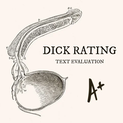 Dick Rating - Text Evaluation