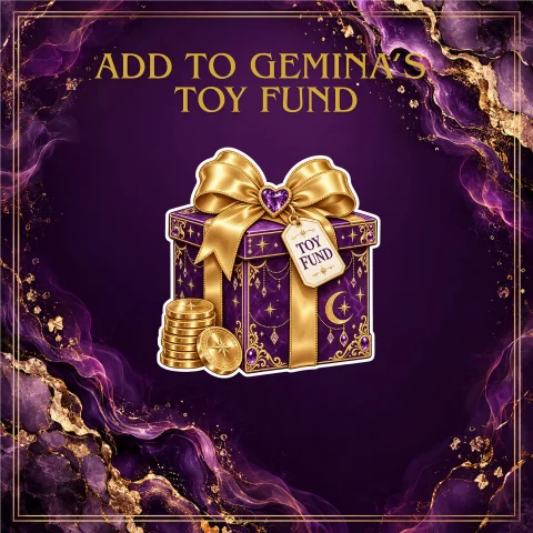 Add to Geminas Toy Fund