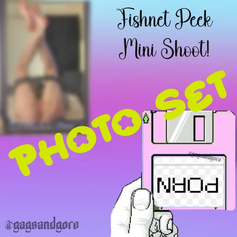 Fishnet Peek Mini Photo Shoot