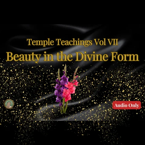 Temple Teachings Vol VII Beauty in the Divine Form Audio Only