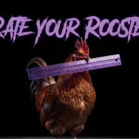Rate your Rooster
