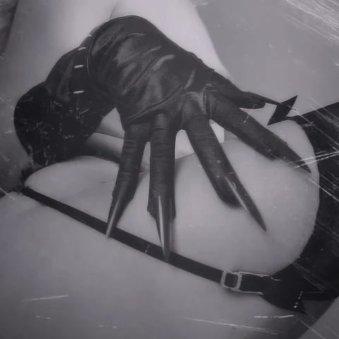 Black Cat Cosplay Photo Bundle