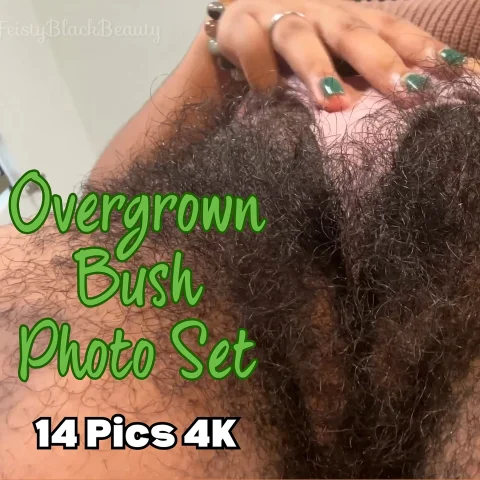 Overgrown Bush Photo Set 14 Pics 4K