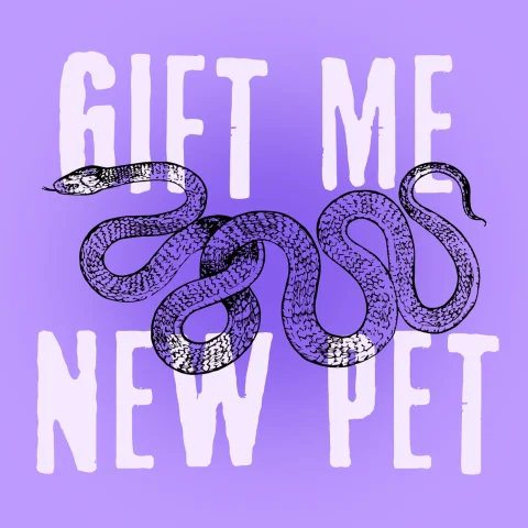 Gift Me a New Friend