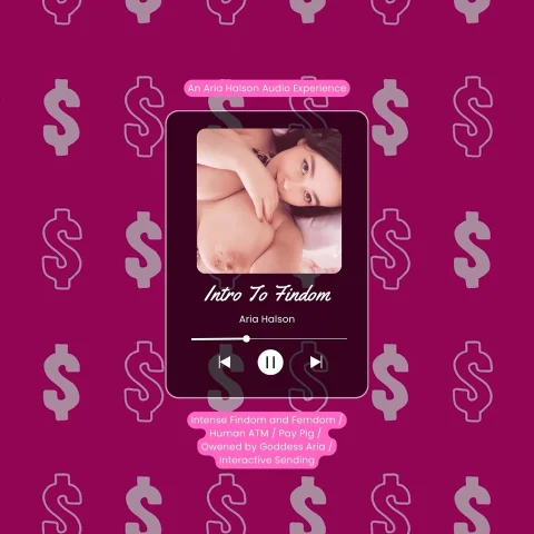 Intro To Findom