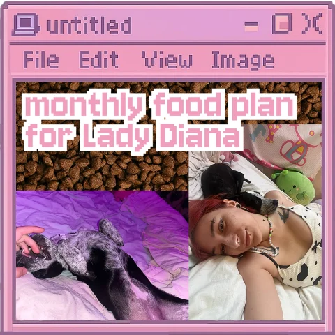 Lady Dianas monthly food and teats