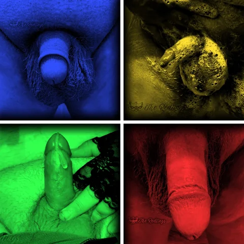 Small Cock Photo Bundle