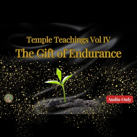 Temple Teachings Vol IV The Gift of Endurance Audio Only