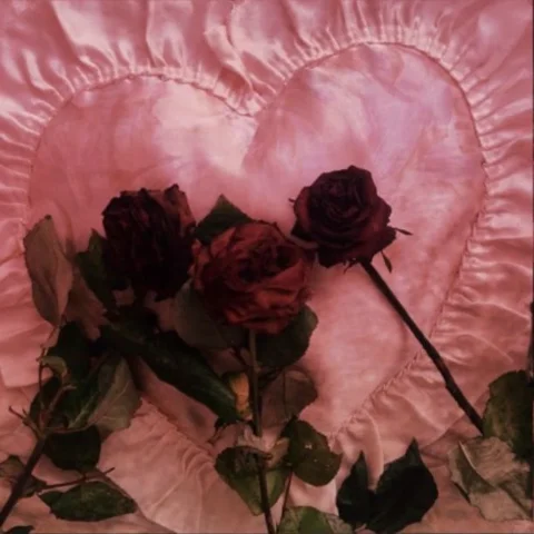 Girlfriend Exp. 24 HOURS