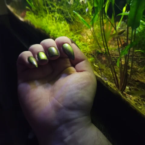 Treat me to a manicure!