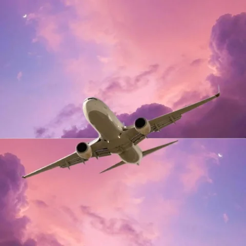 Cover my next trip and get LIFETIME CONTENT