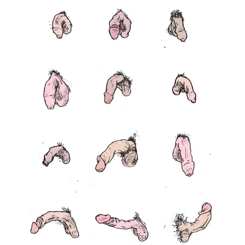Cock and Cumshot Rate. Written 4 page essay