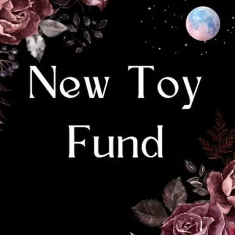 New Toy Fund