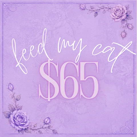 feed my cat