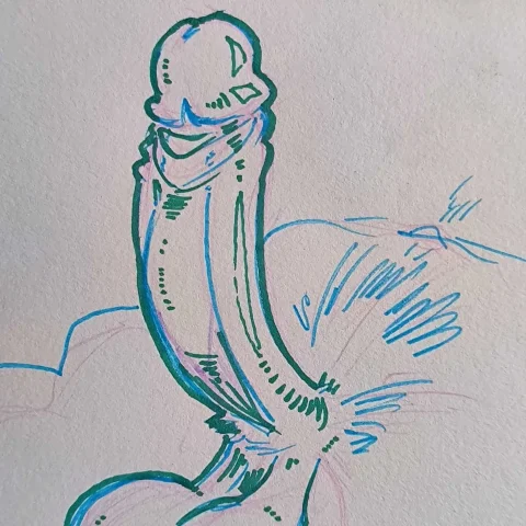 Cock Portrait