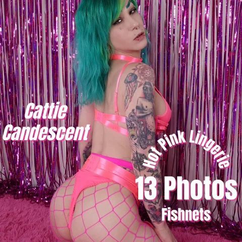 Hot Pink Lingerie and Fishnets Photo Set