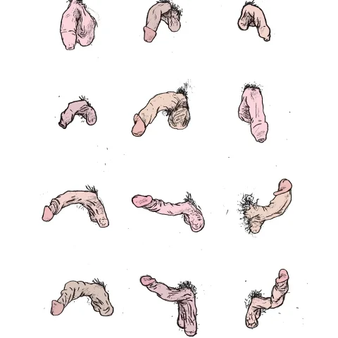 Cock Rate. Written 4 page essay