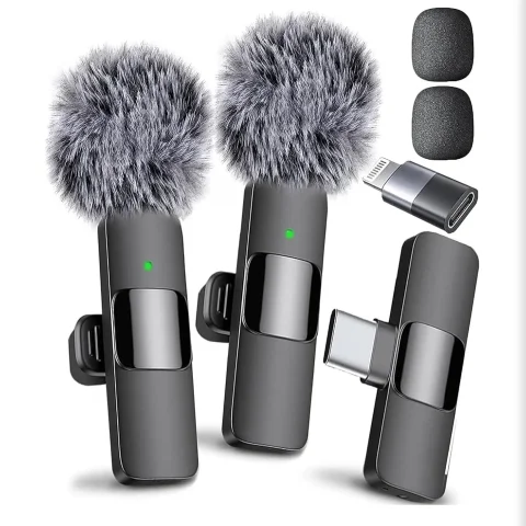 Mini microphone