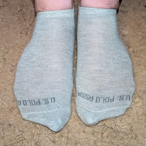 US Polo No Show Socks