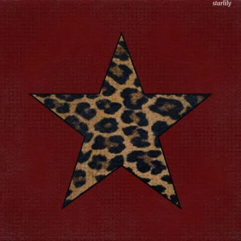 Dick Rating - TEXT ONLY