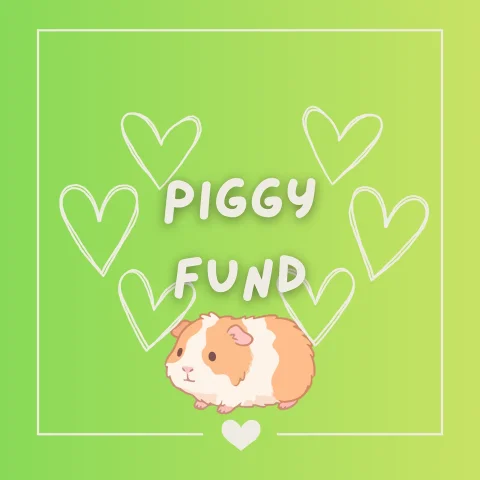 piggy fund