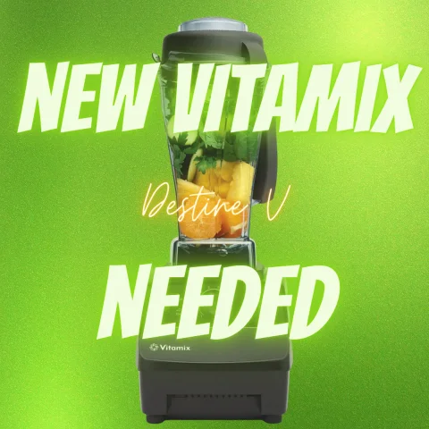Help Replace My Vitamix 5200 - Daily Smoothie Routine Support