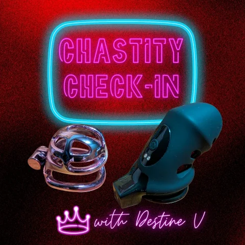 Show Me Your Chastity Cage - Chastity Check-In