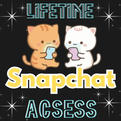 Lifetime Snapchat Access and Story