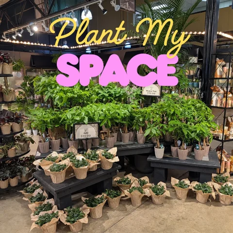 Plant My Space - Support My Plant Collection