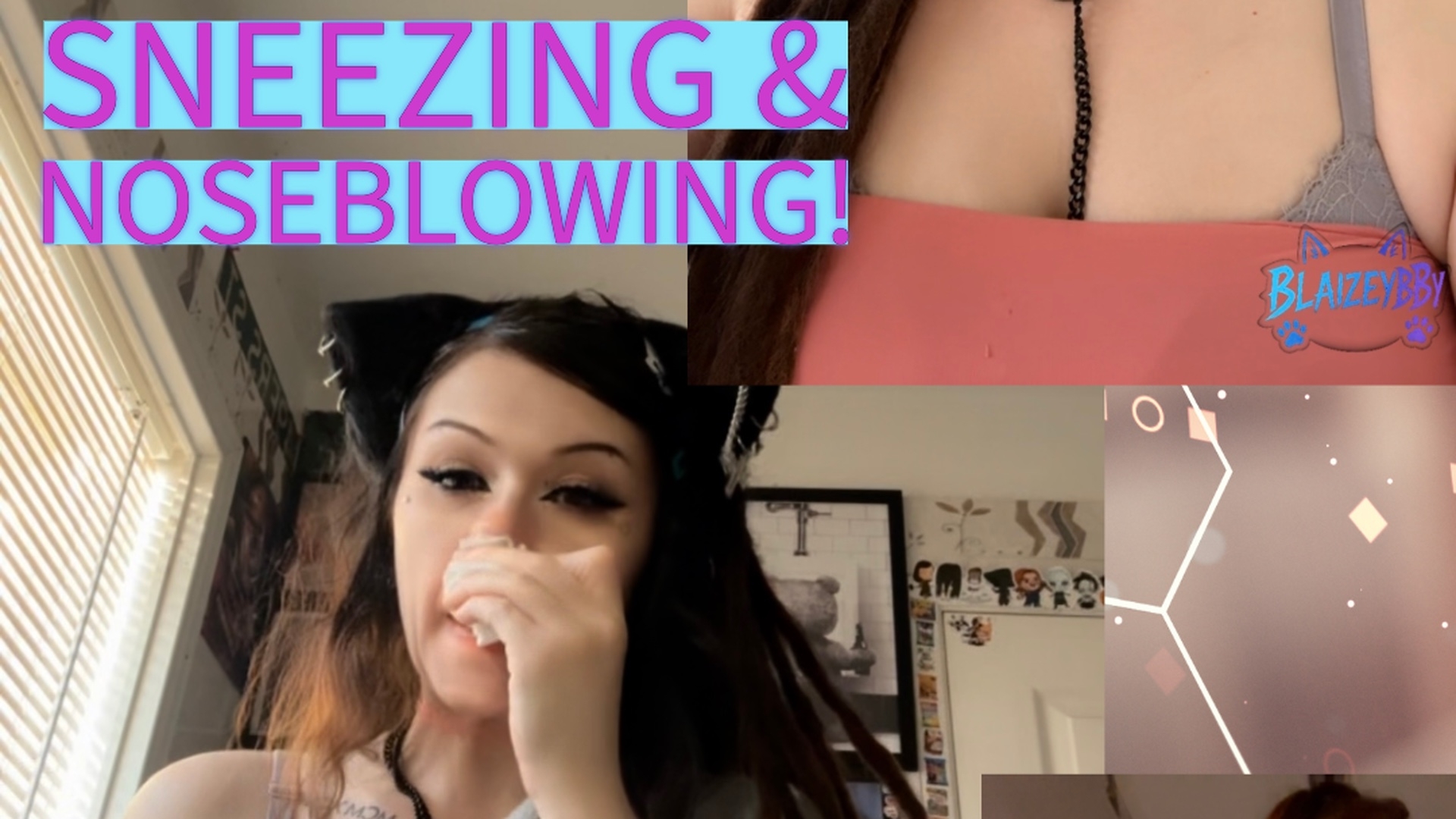 Sneeze Bundle