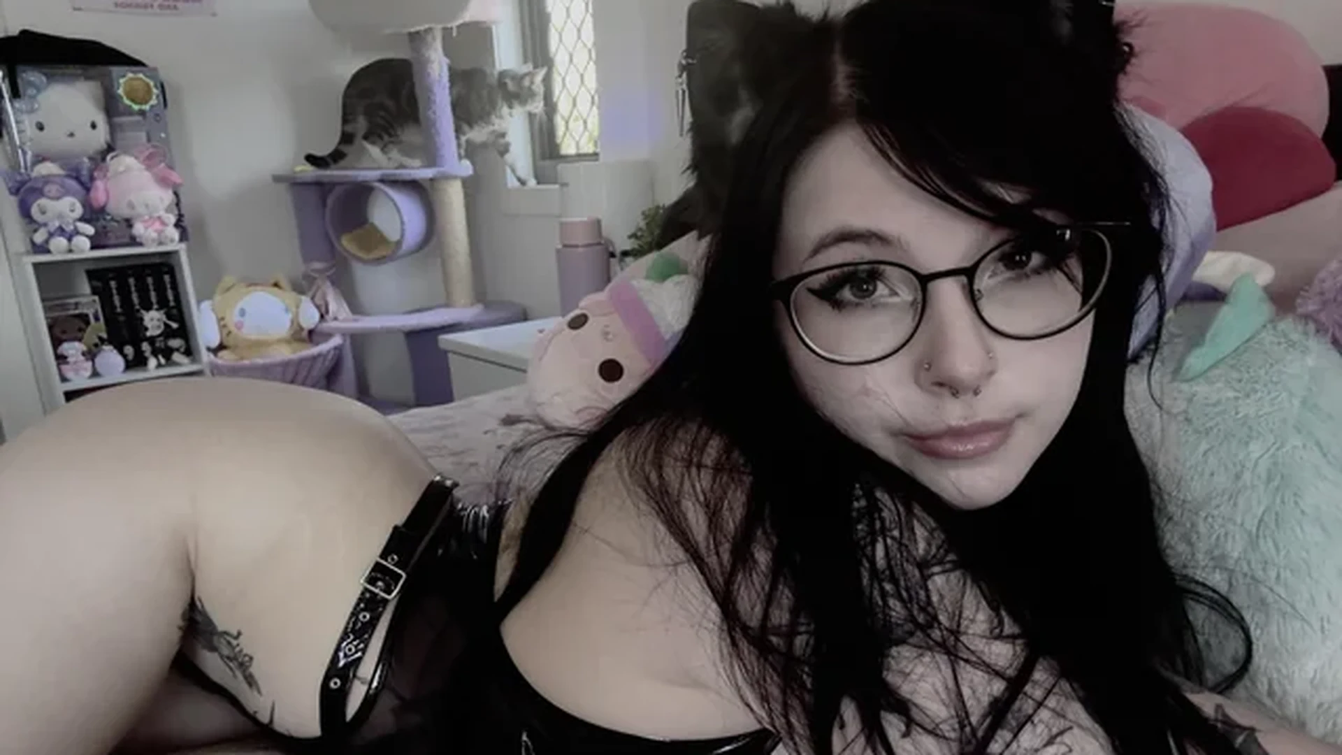 mini kitty bundle