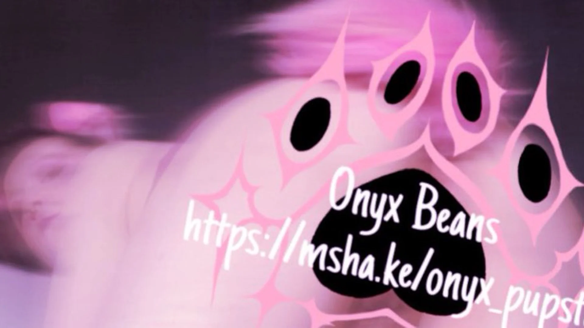 Onyx Beans header