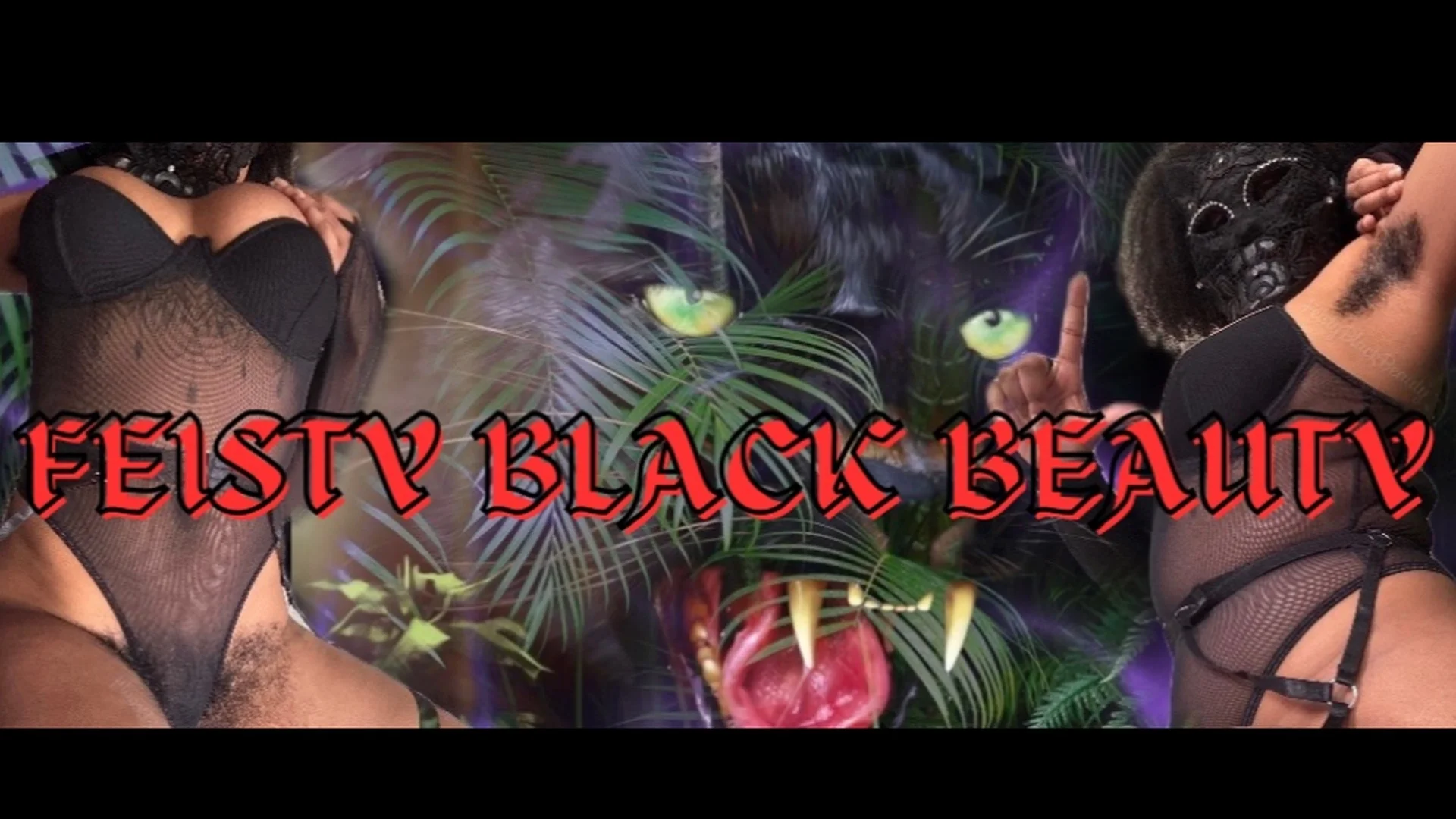FeistyBlackBeauty header