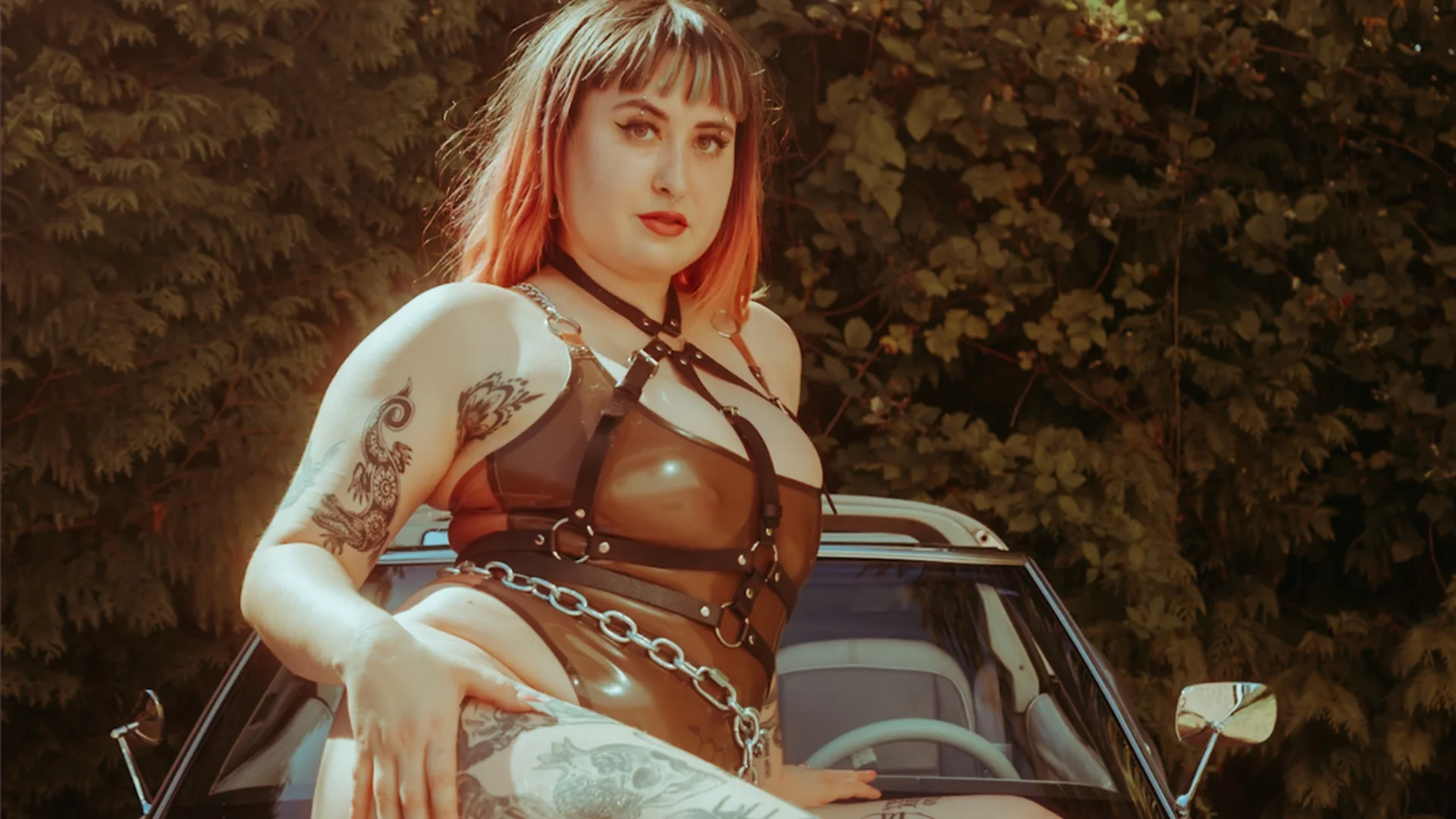 Elizabxthfields header