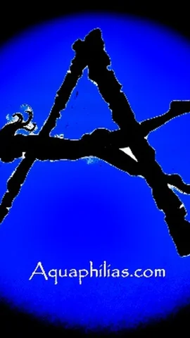 Aquaphilias