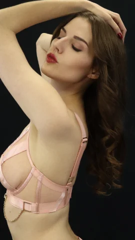 Miss Vixen