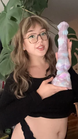 Quinniecat