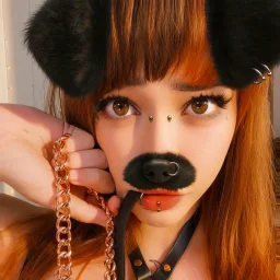 ZiaFox