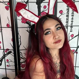 lilRavenFox