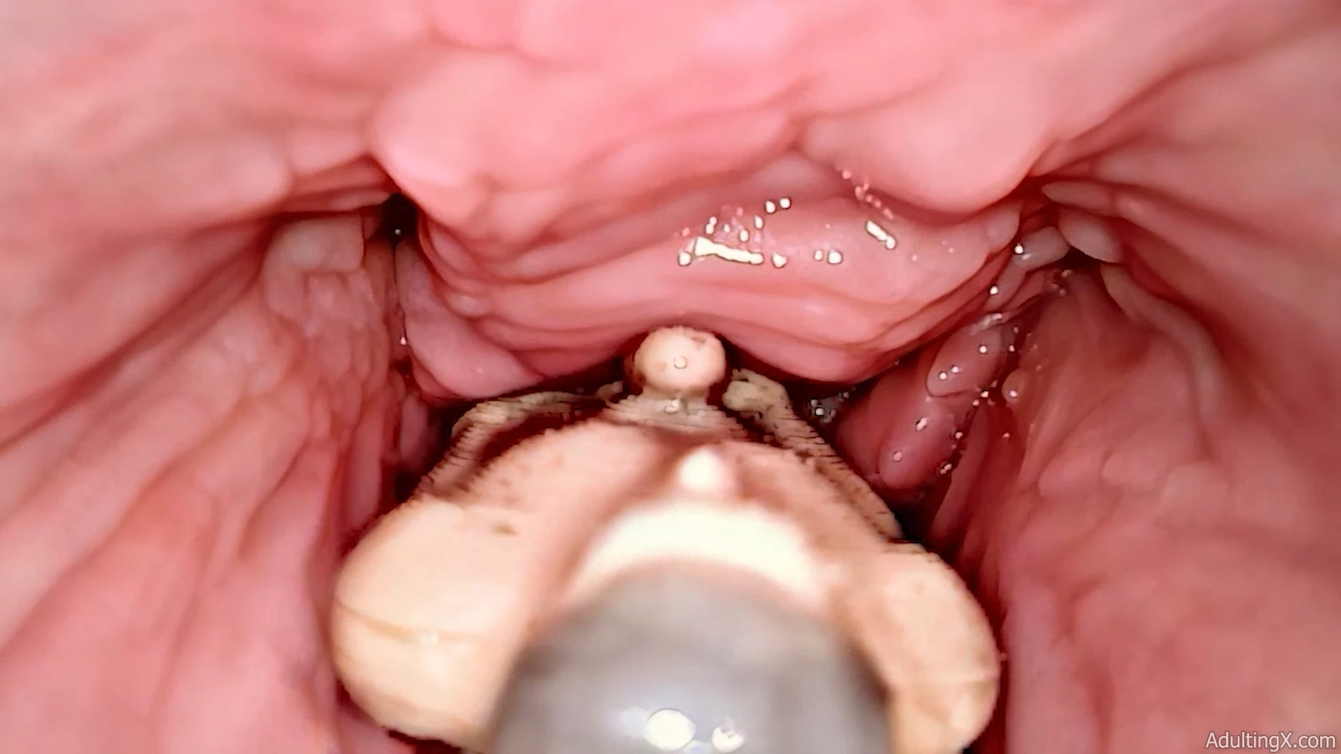 My Shrunken Human Dildo Squeezed by 9 Authentic Orgasms